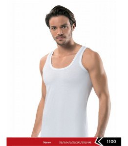 ERDEM 1100