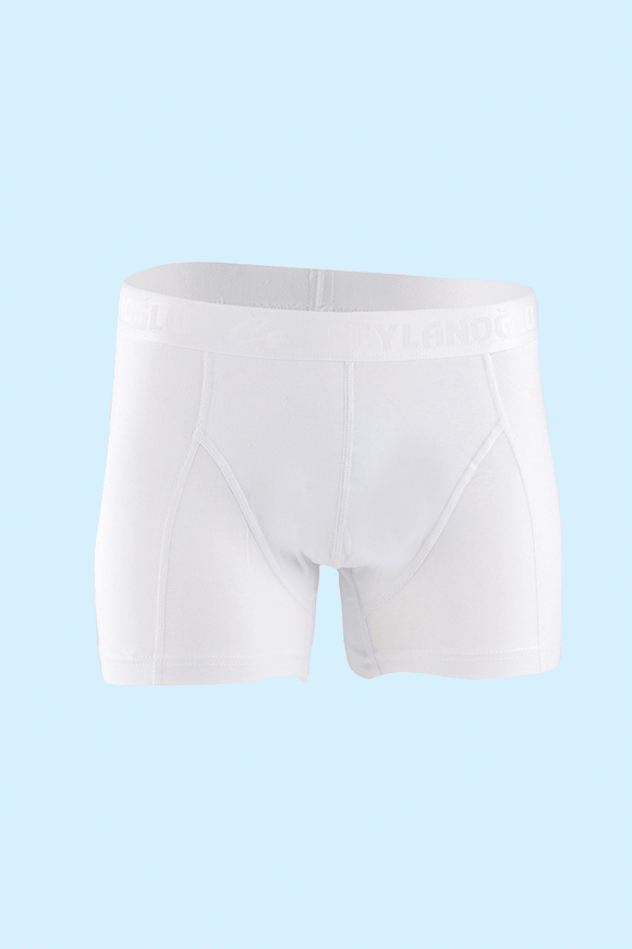 Ceylanoğlu 034 Boxer