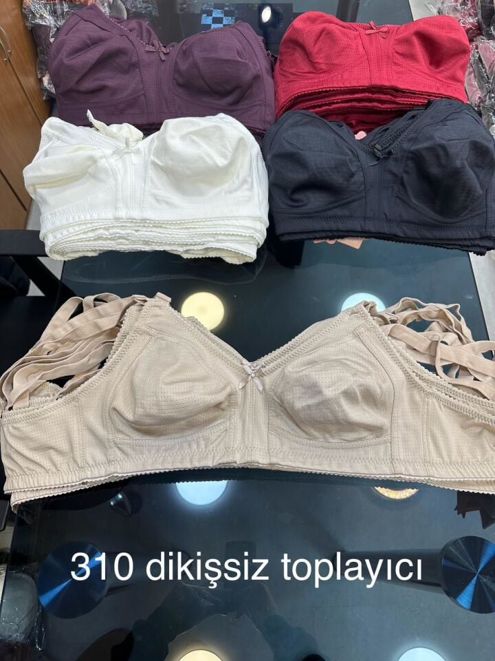 İnfaiht 310